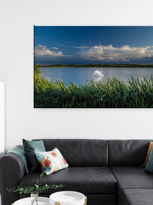 Tablou Canvas - Eleganță pe ape – Lebăda sub cerul dramatic, by Ovidiu Optik Photography