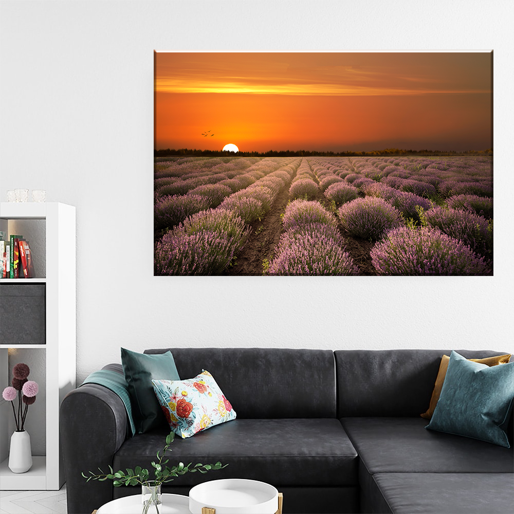 Tablou Canvas - Esenta Calmului – Magia Lavandei la Apus, by Ovidiu Optik Photography