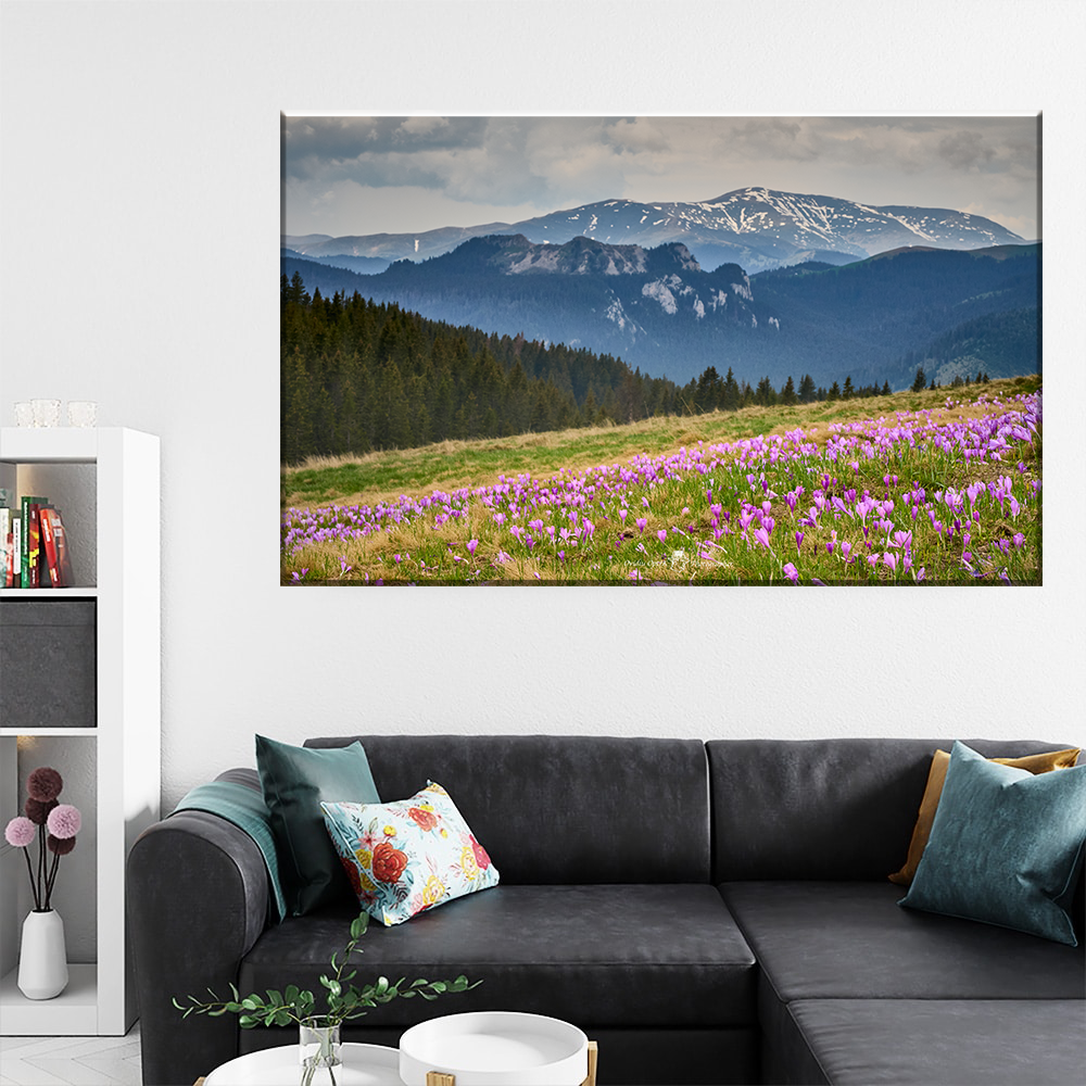 Tablou Canvas - Farmecul Munților – Natura în Floare, by Ovidiu Optik Photography