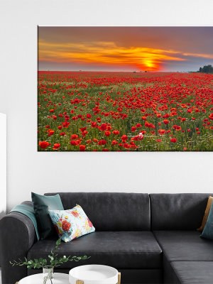 Tablou Canvas - Magia Apusului – Câmpul de Maci în Flăcările Soarelui, by Ovidiu Optik Photography