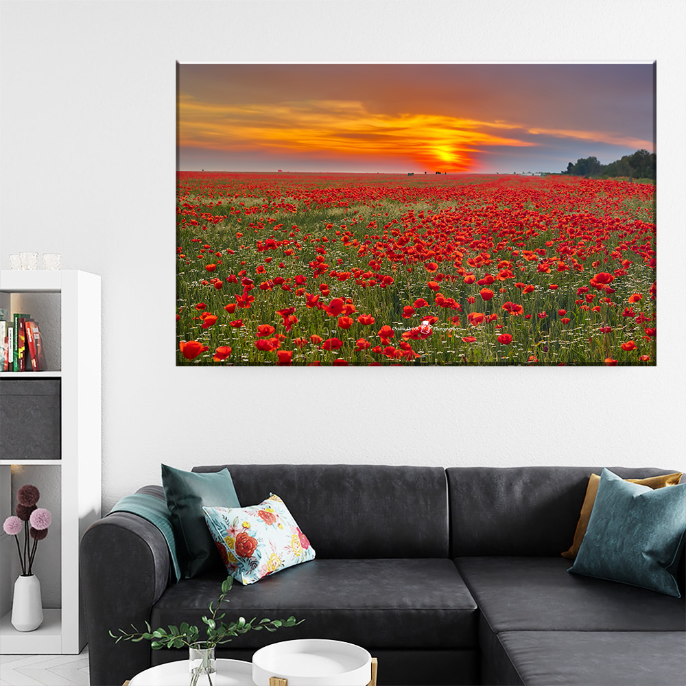 Tablou Canvas - Magia Apusului – Câmpul de Maci în Flăcările Soarelui, by Ovidiu Optik Photography