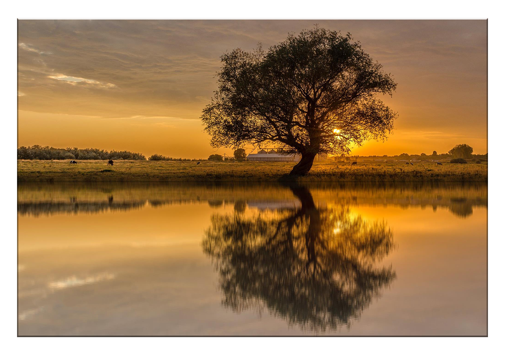 Tablou Canvas - Reflecția Naturii – Armonie la Apus, by Ovidiu Optik Photography - imagine 2