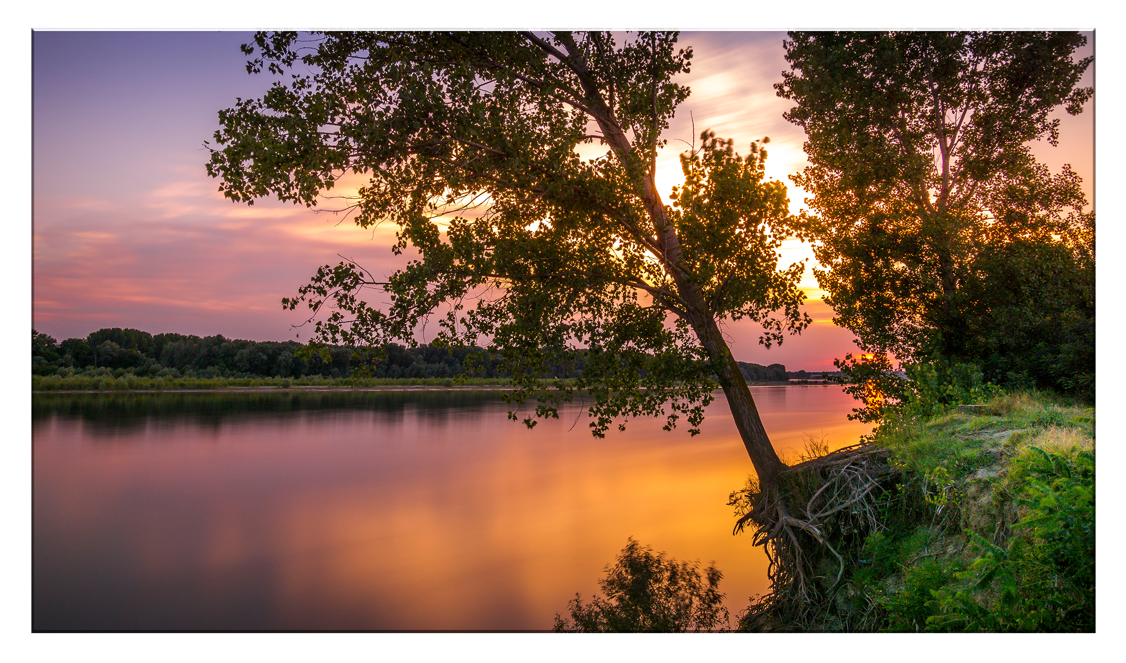Tablou Canvas - Viteza Naturii – Eleganța și Precizia în Zbor, by Ovidiu Optik Photography - imagine 2