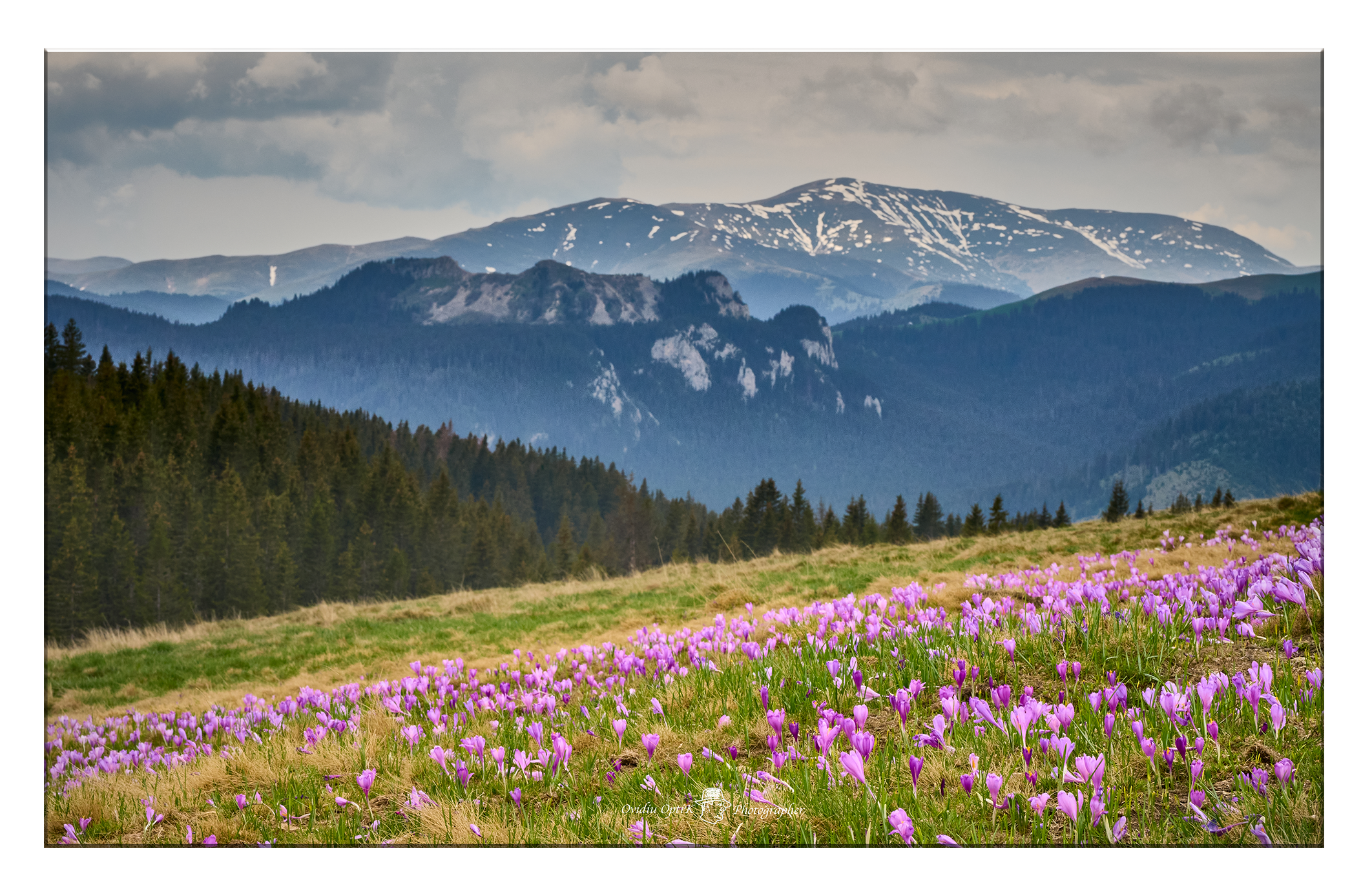 Tablou Canvas - Liniștea Naturii – Colț de Rai la Poalele Munților, by Ovidiu Optik Photography - imagine 2